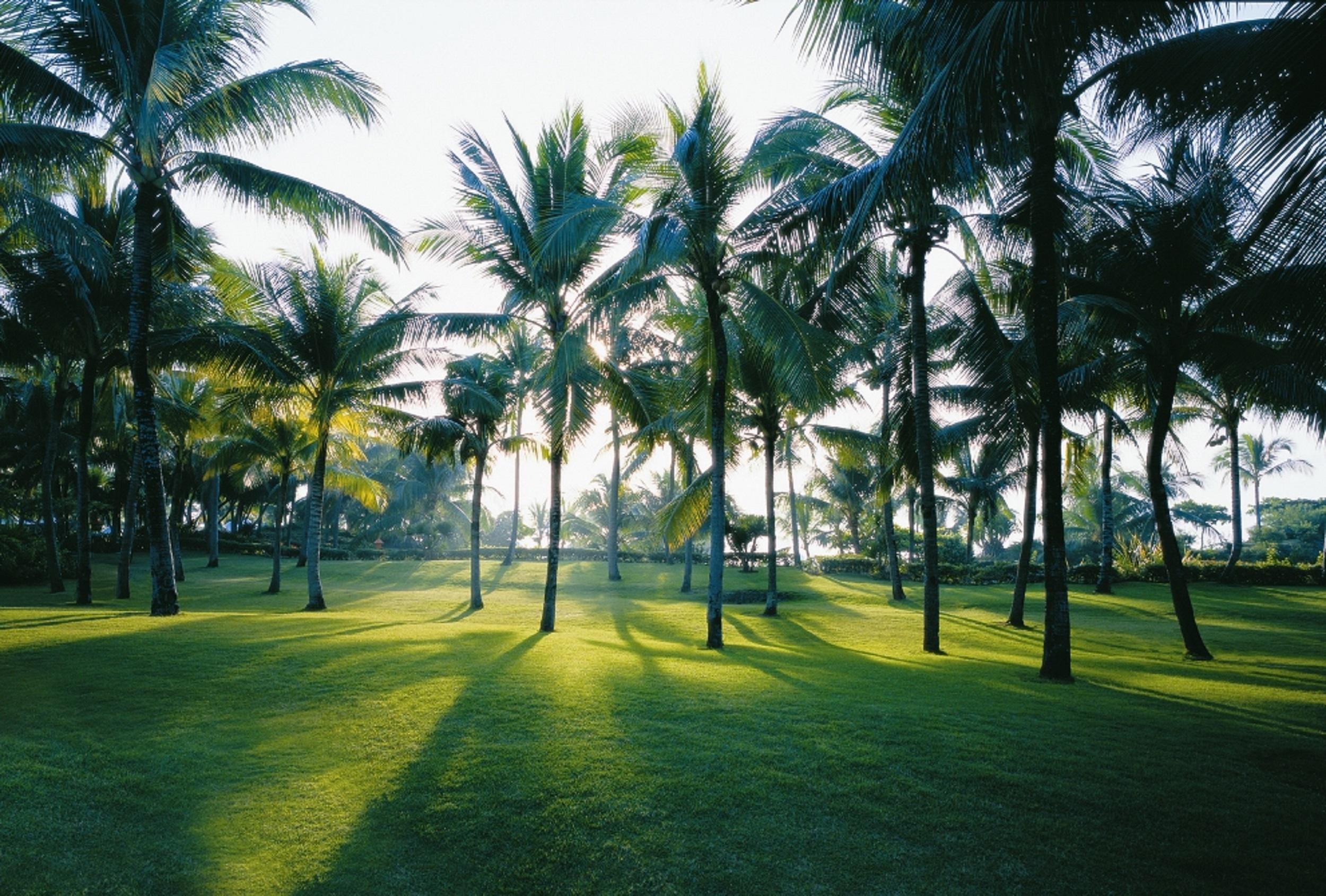 Hotel Shangri-La Mactan, Cebu à Île de Mactan Extérieur photo